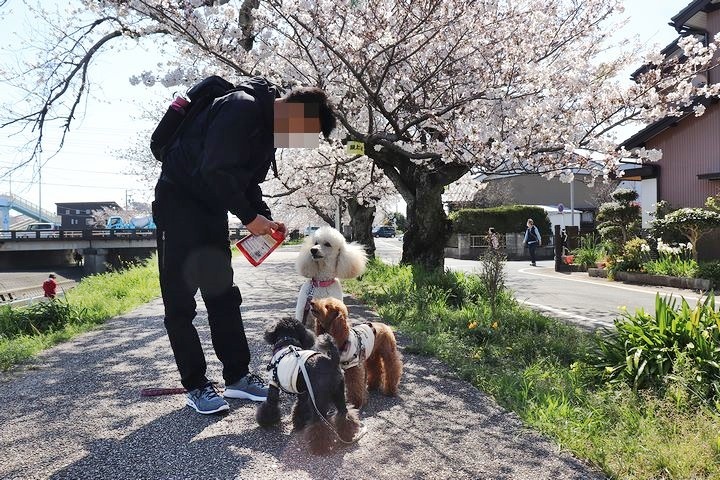 無理は禁物。_b0111376_14565861.jpg