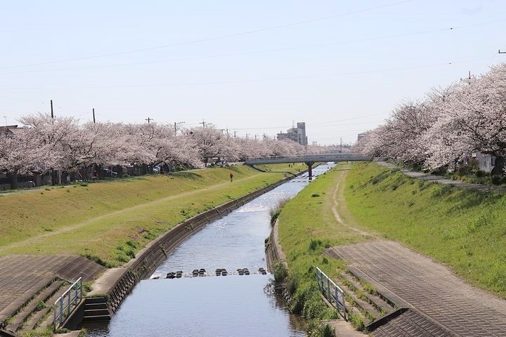 無理は禁物。_b0111376_15045478.jpg
