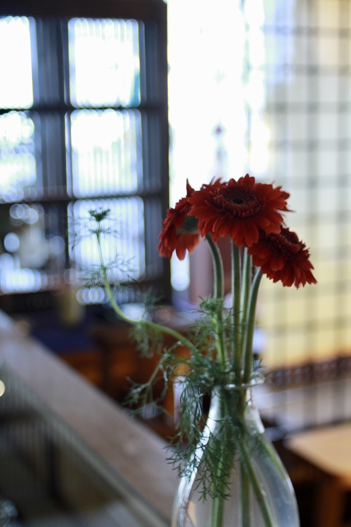 アンスリウムの花_d0335577_08000821.jpeg
