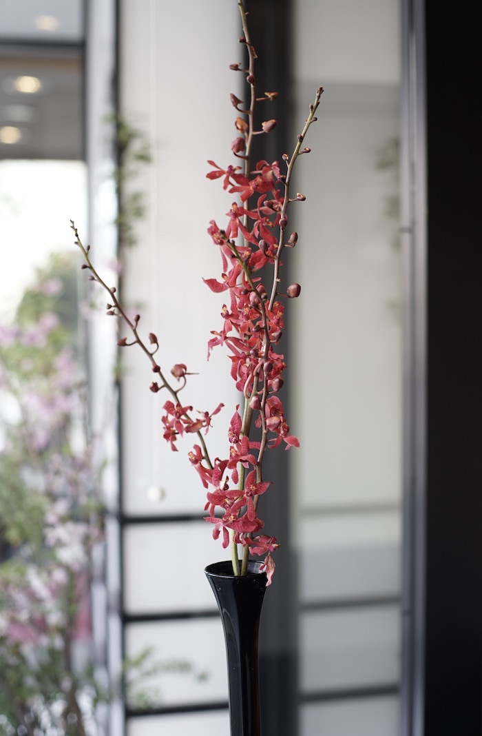 アンスリウムの花_d0335577_08275699.jpeg