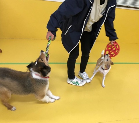 トレーニングブログ_f0357682_23475359.jpeg