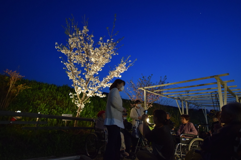 ときの杜2020年春便り 夜桜編_f0220087_13574201.jpg