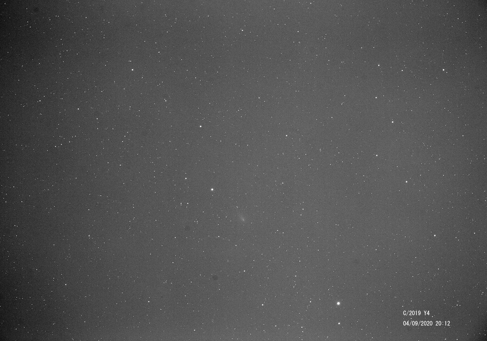 しょぼくなった　2019Y4　アトラス彗星_e0174091_15311840.jpg