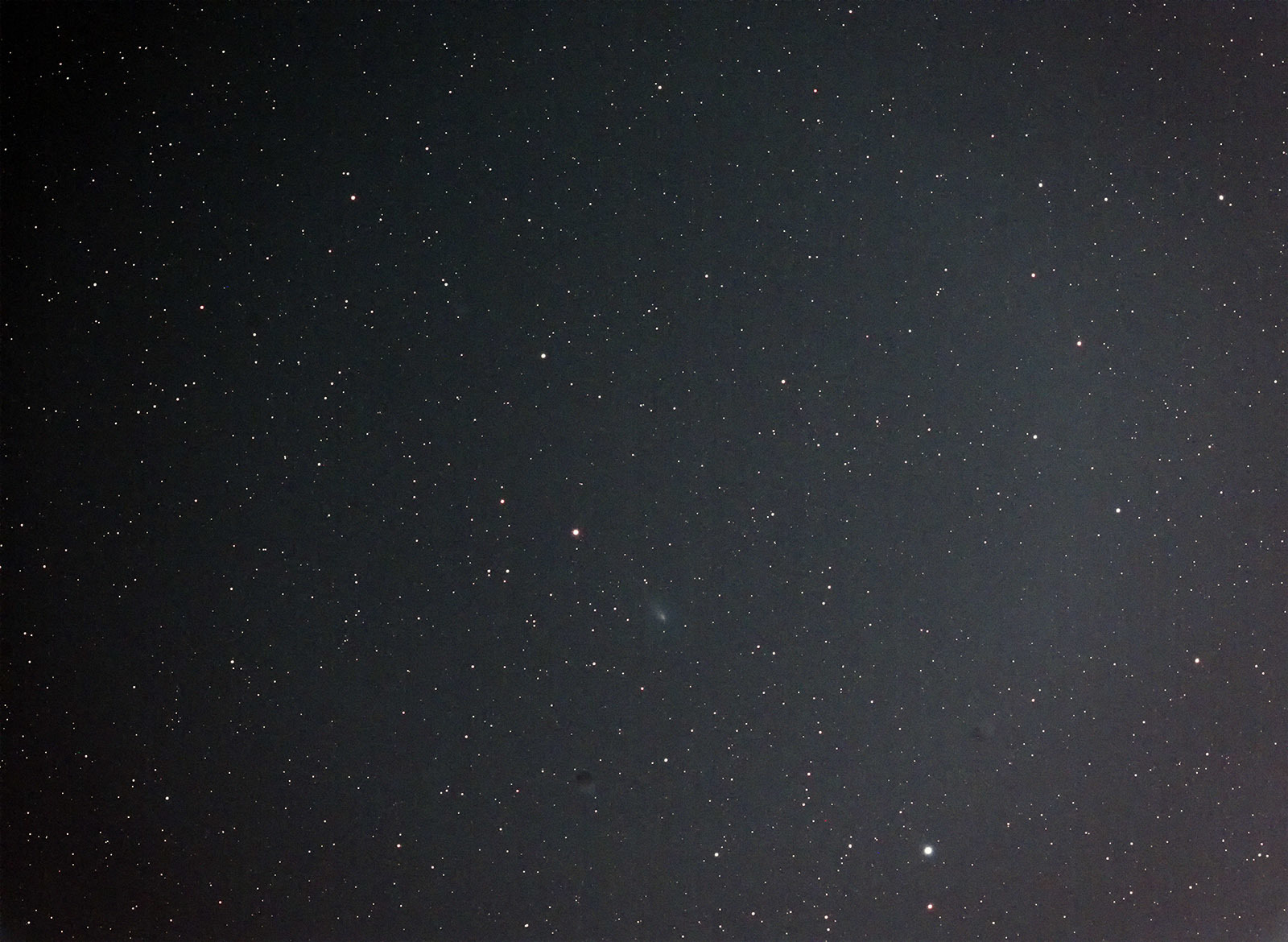 しょぼくなった 2019Y4 アトラス彗星_e0174091_18575644.jpg