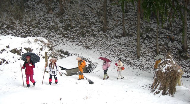 雪の千本峠を越えて三坂峠から松山へ_f0213825_08263970.jpg