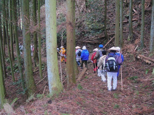 雪の千本峠を越えて三坂峠から松山へ_f0213825_08381387.jpg