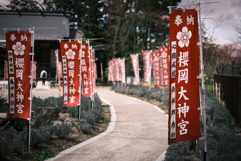 covid-19終息を祈る桜_f0265234_21565350.jpg