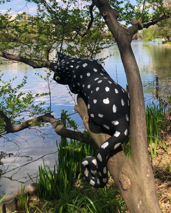 石神井公園の大猫_f0395434_17430458.jpeg