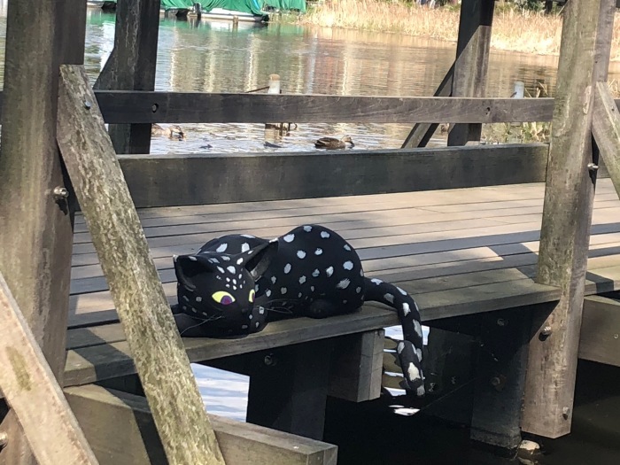 石神井公園の大猫_f0395434_17434859.jpeg