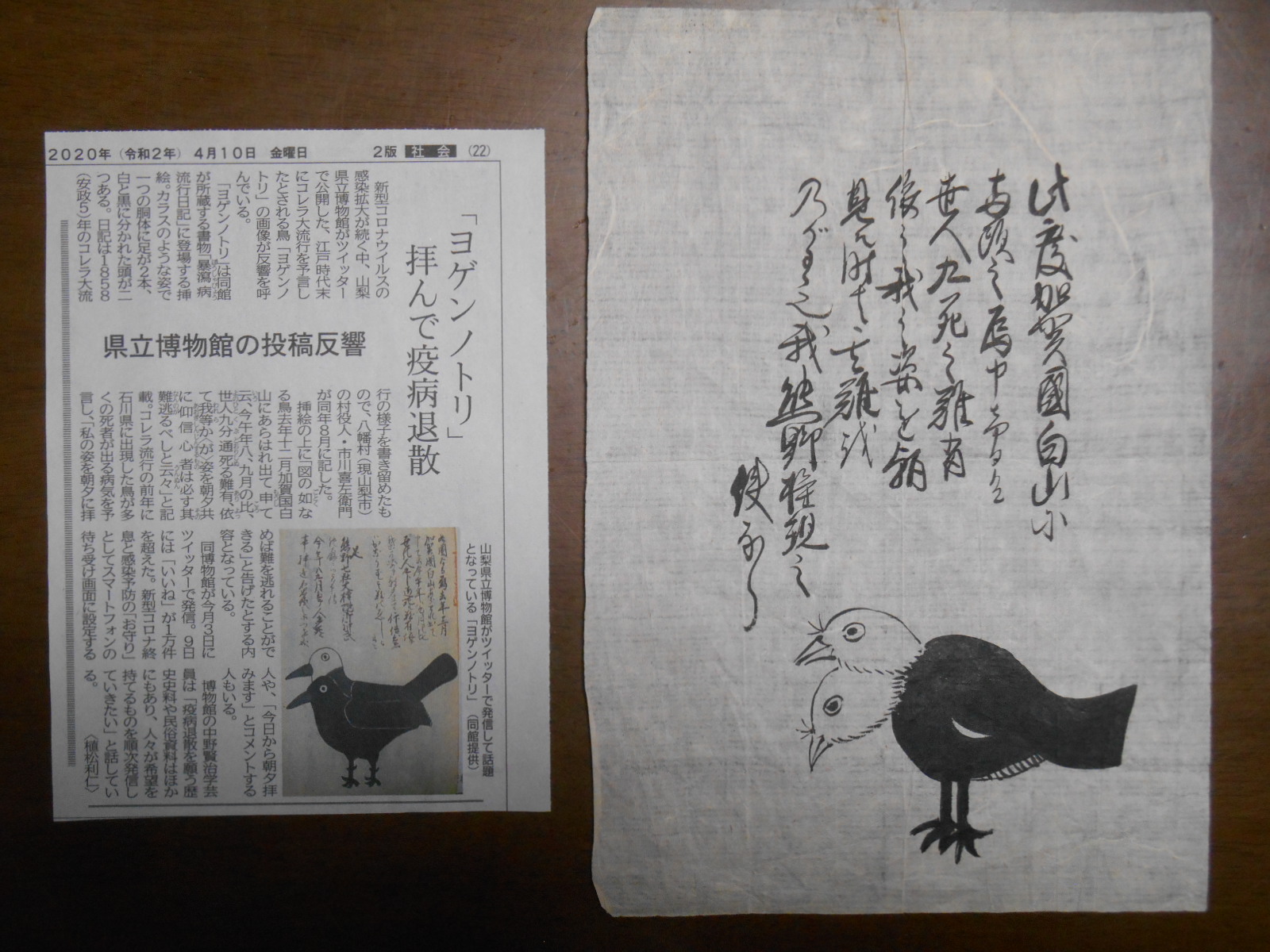 ヨゲンノトリ : 一景一話
