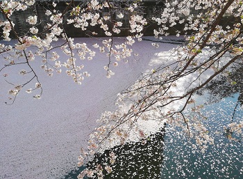 花まつり&満月_a0061057_015497.jpg