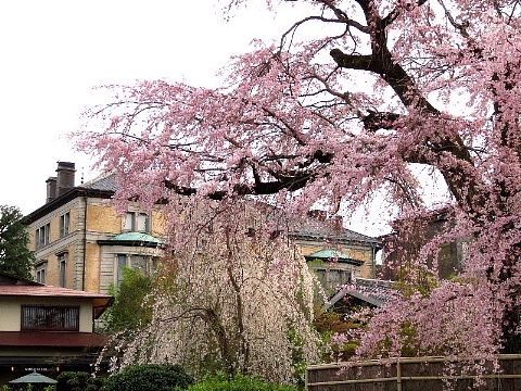 「足袋」に誘われた京の旅。_b0141773_23220354.jpg