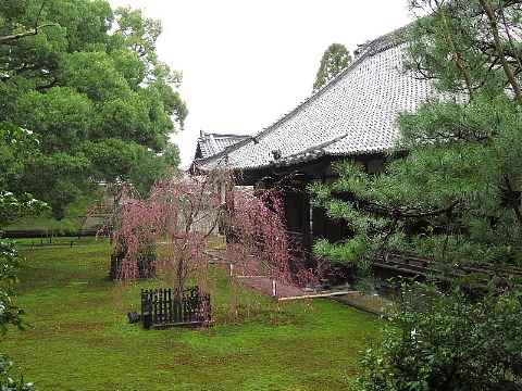 「足袋」に誘われた京の旅。_b0141773_23230003.jpg