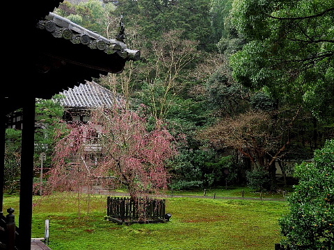 「足袋」に誘われた京の旅。_b0141773_23405896.jpg
