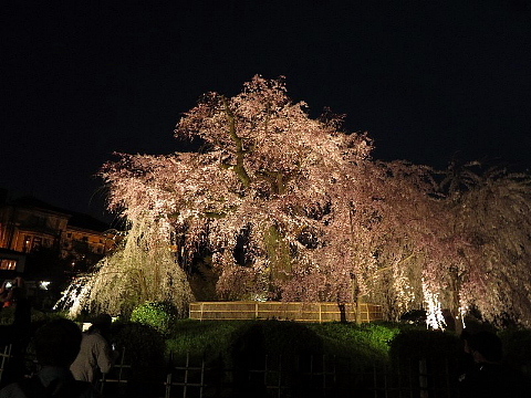 「足袋」に誘われた京の旅。_b0141773_23570282.jpg