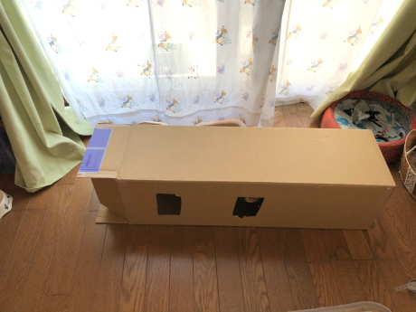 猫ゴコロくすぐる箱_e0355177_19411299.jpg