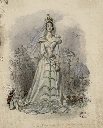 グランヴィルの「花の幻想」の素描:ナンシー市立図書館蔵_c0084183_12144920.jpg