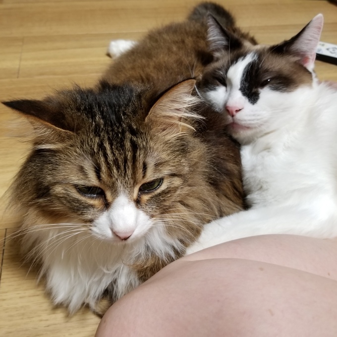 ソーシャルディスタンス_c0369492_22324187.jpg