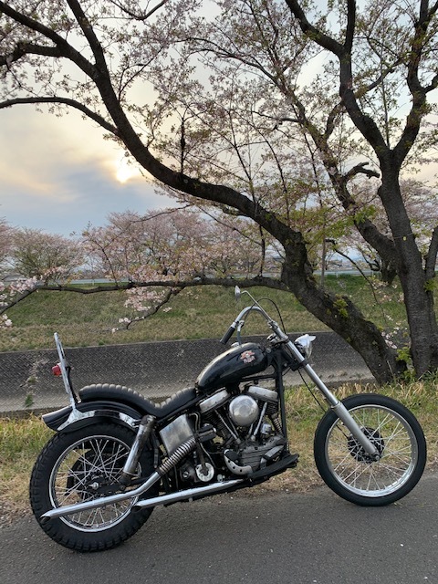 悪い人たち_a0165898_18595411.jpg