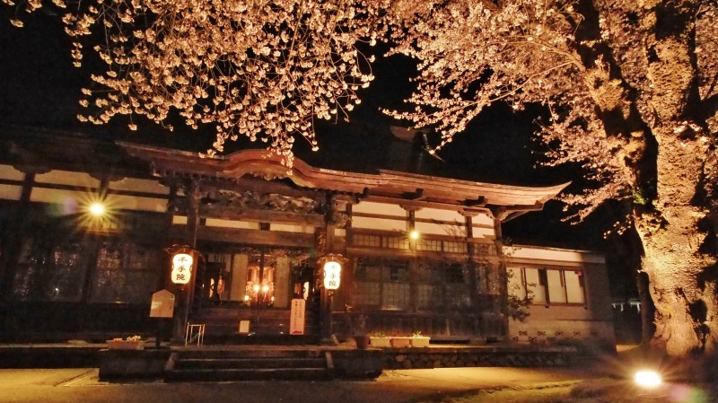 「深淵の桜」を観に千手院の境内へ ④_c0336902_14454486.jpg