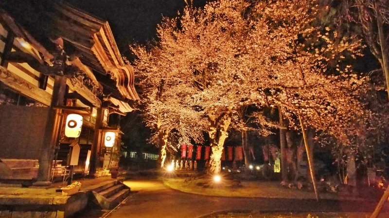 「深淵の桜」を観に千手院の境内へ ④_c0336902_14454866.jpg