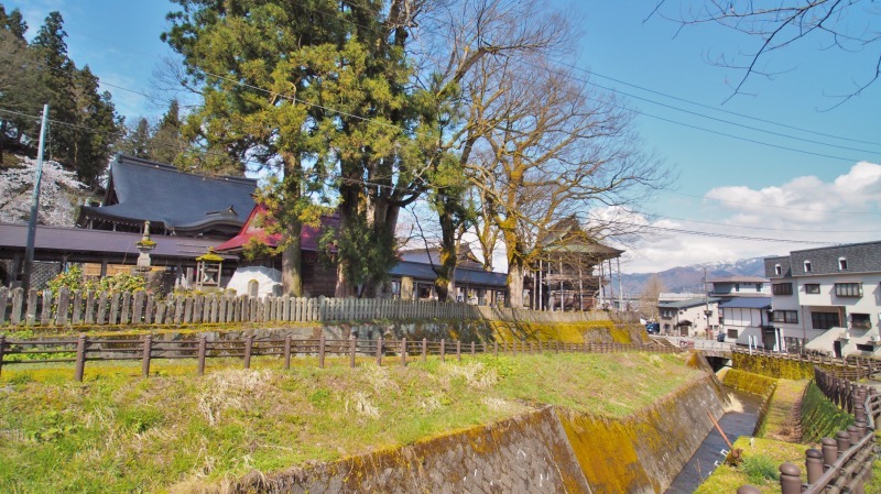 枝垂れ桜 昨日は7分咲きくらいでしょうか ⑤_c0336902_15041049.jpg
