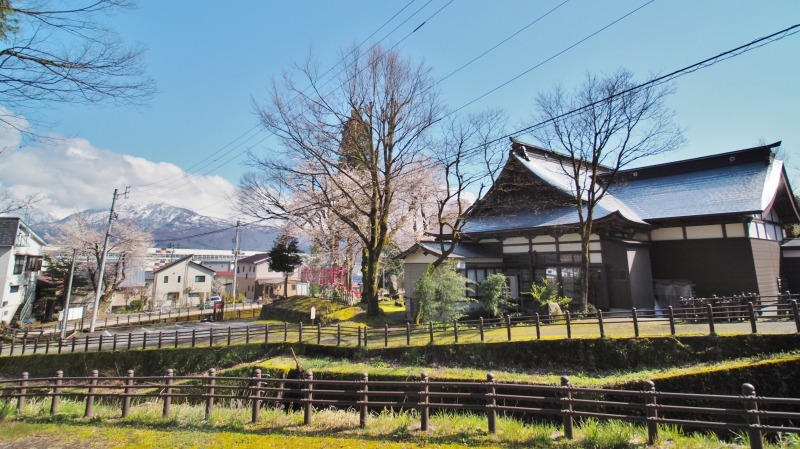 枝垂れ桜 昨日は7分咲きくらいでしょうか ⑤_c0336902_15041447.jpg