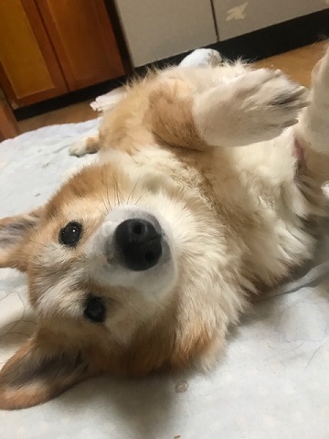 家でごろごろ_f0242002_19333015.jpg