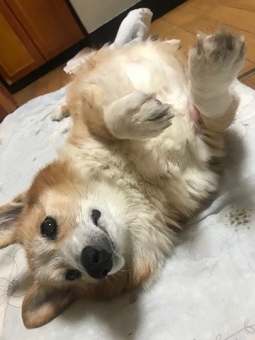 家でごろごろ_f0242002_19333590.jpg