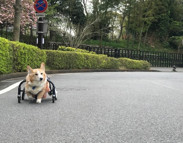 家でごろごろ_f0242002_19334351.jpg