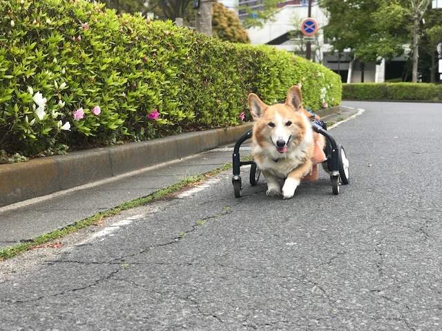 家でごろごろ_f0242002_19340135.jpg