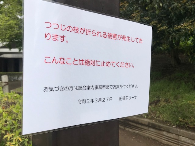 家でごろごろ_f0242002_19342706.jpg