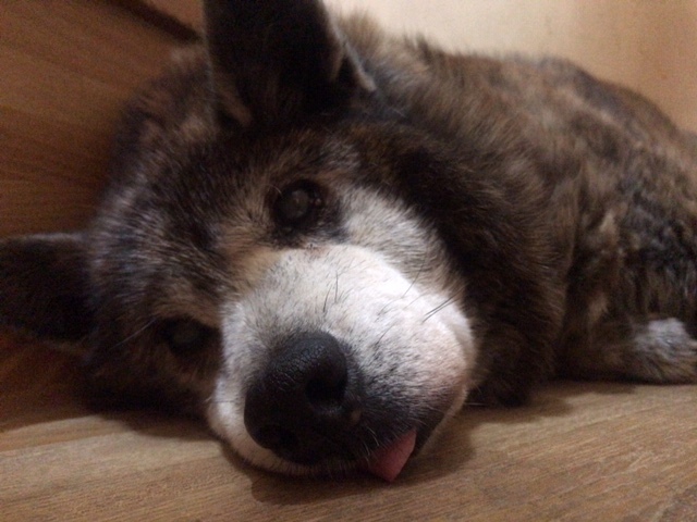 家でごろごろ_f0242002_19344516.jpg