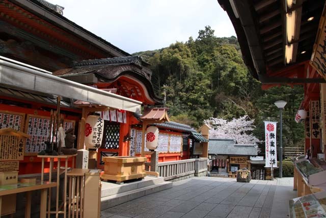 地主神社_e0048413_21010610.jpg