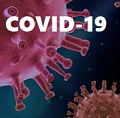 COVID-19：入院患者の3分の1以上に肝障害がみられる_e0156318_15255139.png