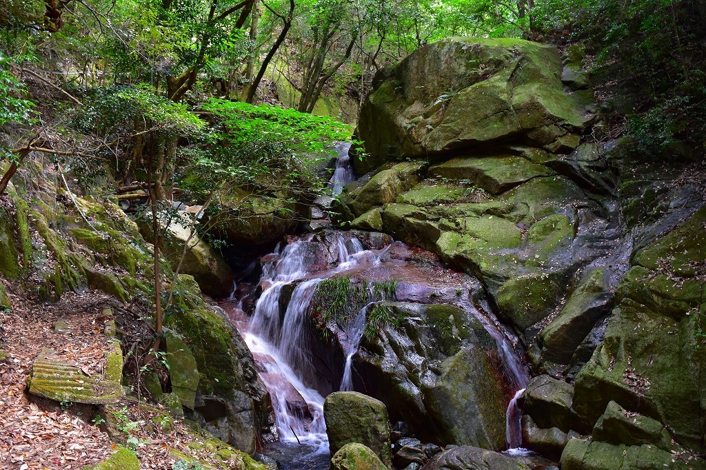 九州百名山１　　福智山_f0174419_13203576.jpg