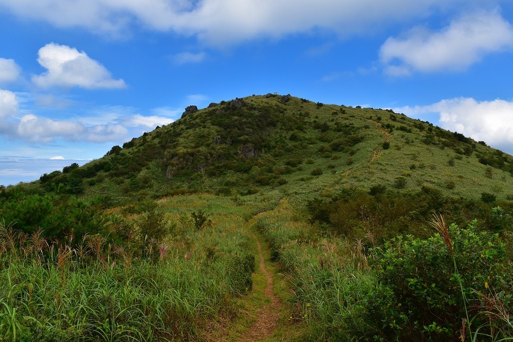 九州百名山１　　福智山_f0174419_13361971.jpg