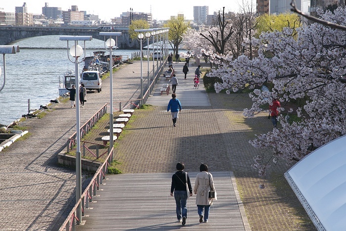 やすらぎ堤_b0128621_20113721.jpg
