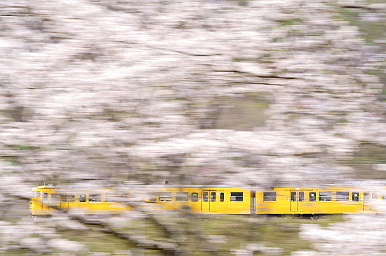 4月4日 桜×サンライズExp.のリベンジ!_f0037227_22092400.jpg