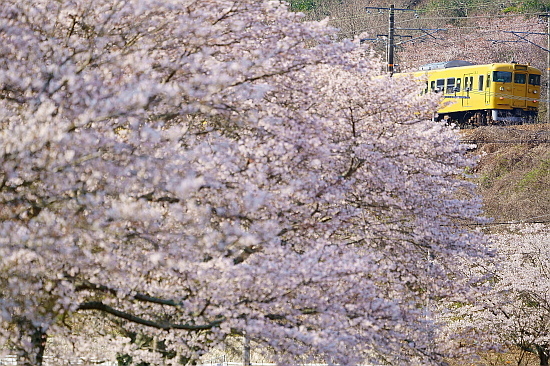 4月4日 桜×サンライズExp.のリベンジ!_f0037227_22092457.jpg