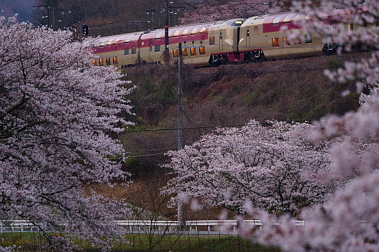 4月4日 桜×サンライズExp.のリベンジ!_f0037227_22092497.jpg