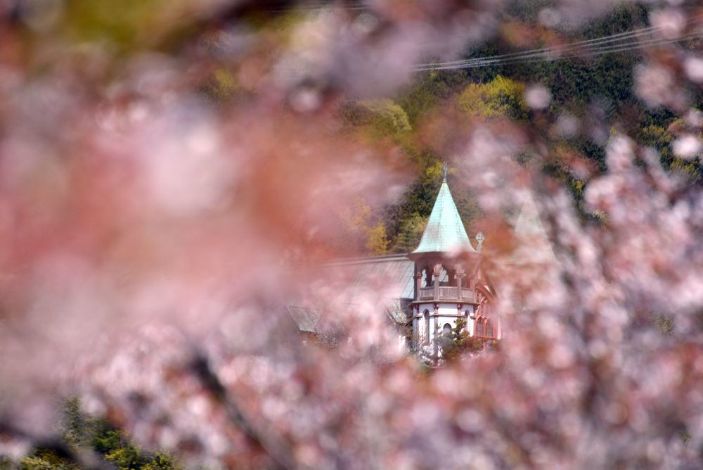 入鹿池端の桜と聖ヨハネ教会堂_e0373930_16255596.jpg