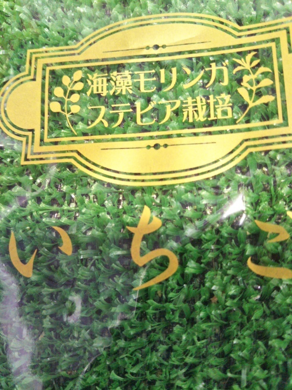  大洗まいわい市場…3㌔強の&#127827;がなんと367㌘に…_a0283448_11505529.jpg
