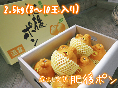 デコポン(肥後ポン)令和4年も大好評販売中!大変お買い得な「ファミリータイプ」も販売開始! _a0254656_17512309.jpg