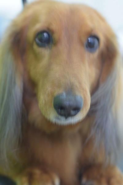 いつもブログを楽しみにしてくださってありがとうございます(^^)/_b0347262_09092456.jpg