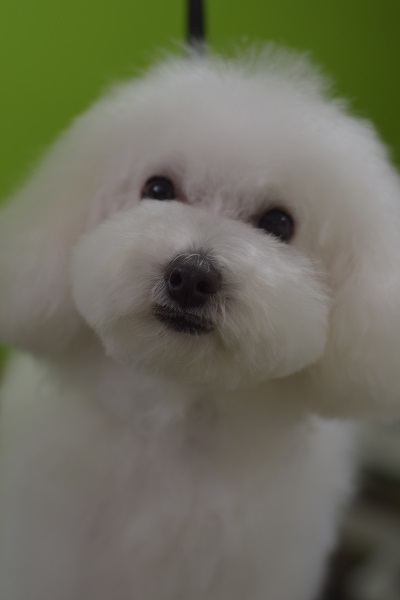 いつもブログを楽しみにしてくださってありがとうございます(^^)/_b0347262_09093650.jpg