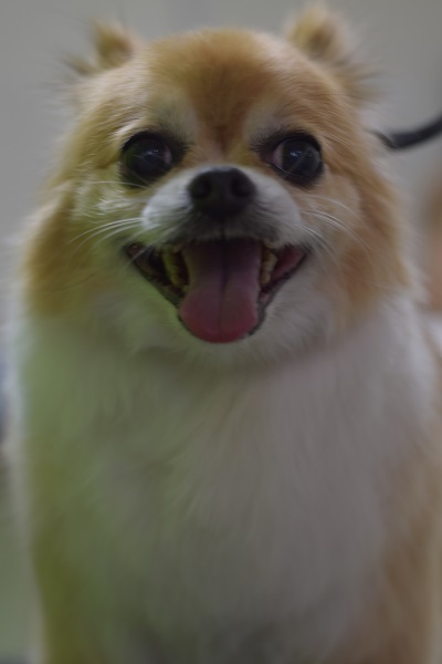 いつもブログを楽しみにしてくださってありがとうございます(^^)/_b0347262_09095949.jpg