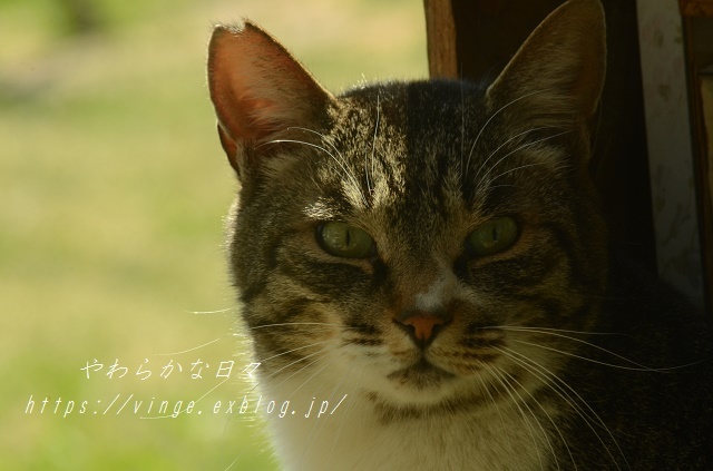 想像の及ばぬところ_a0158478_08445678.jpg