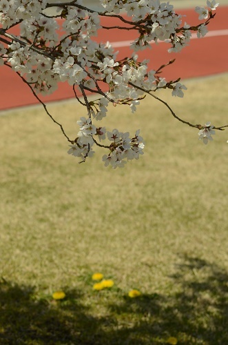想像の及ばぬところ_a0158478_10105221.jpg