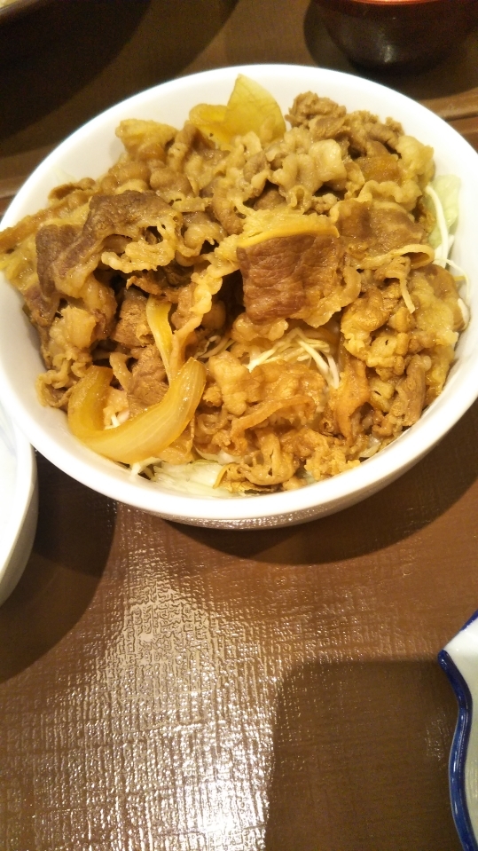 すき家_f0076001_22502714.jpg